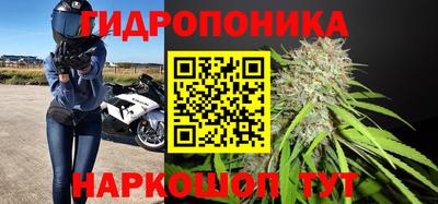 трава Ставрополь