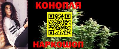 трава Ставрополь